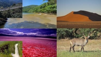 Top 10 destinations africaines insolites de l’été 2025
