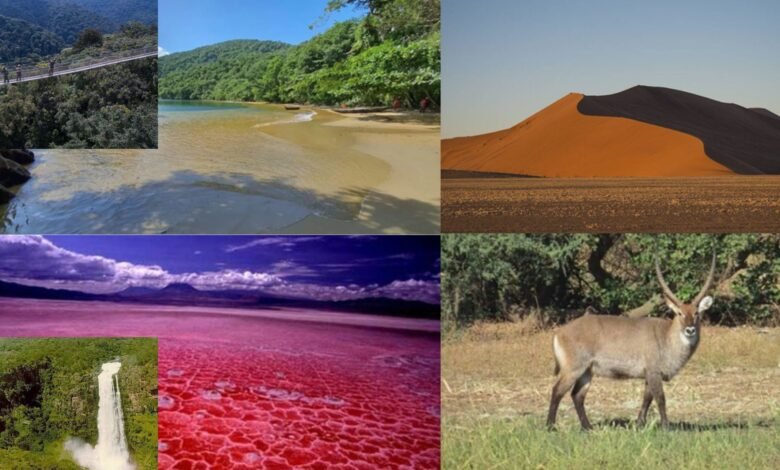 Top 10 destinations africaines insolites de l’été 2025