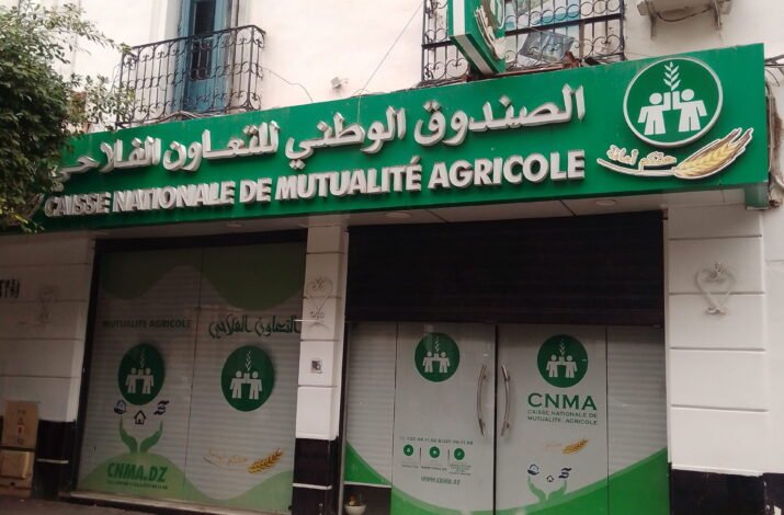 IMG_CNMA Alger