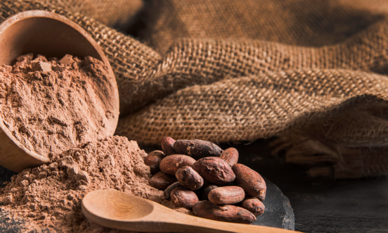 Ghana : Cocoa farm-gate price cut to about $3,700 per ton